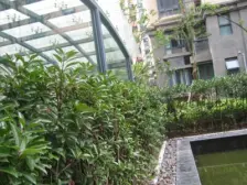 品质小区,环境优美,诚意出售,精装好房