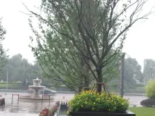 南滨路 东原1891一房168万