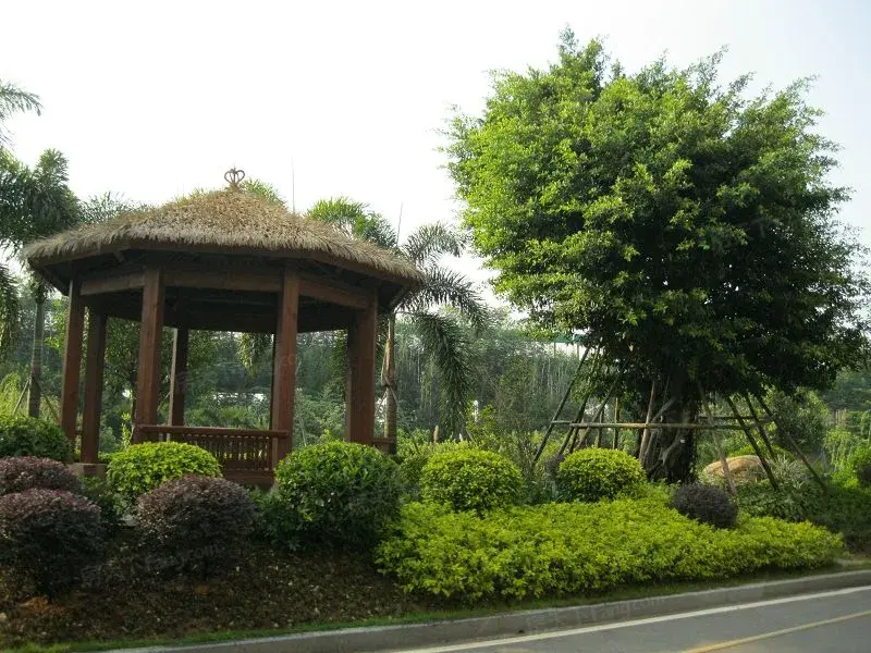 小区相关图