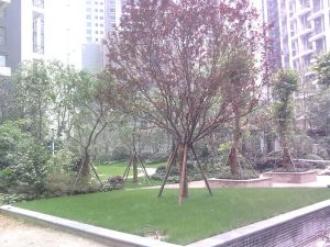 财富又一城 2室2厅 西南