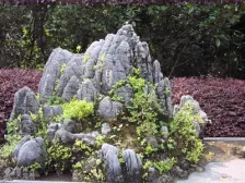 楼层好,视野宽阔,采光充足,配套设施齐全,交通便利