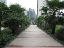 大江轻轨站 单间配套 精装房公园包围