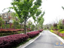 联排东边套,南进门花园,小区lou wang位置