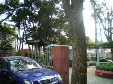 吴泾新村 3室2厅 南 北