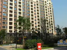 高东·南新东园·3室·1厅