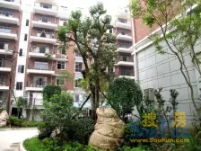 锦绣江南一楼精装大两房拎包入住有防潮层带院子