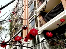 锦绣江南三室两厅通风敞亮,户型方正