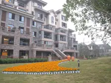 洋房顶跃带露台 户型方正 采光好 业主稳定