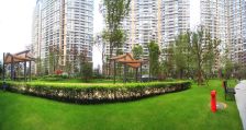 丽晶港3室2厅西北