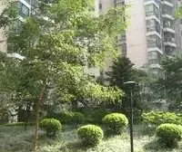 接受周期置换,交通出行方便,半小时到杨浦虹口