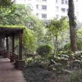 化纤小区1室1厅南