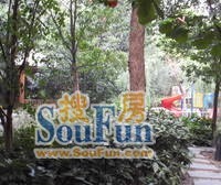 96年带阁楼,豪hua装修,面宽3.7米,小资格调,可看星空