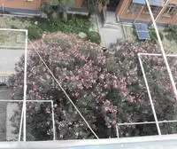 96年带阁楼,豪hua装修,面宽3.7米,小资格调,可看星空