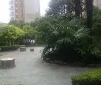 96年带阁楼,豪hua装修,面宽3.7米,小资格调,可看星空