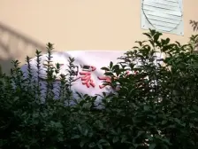 精装修,拎包入住,展示面很好,满五为一,没有s费