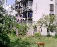 江湾·车站南路407弄·1室·1厅