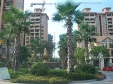 低密度高绿化 宜居小区 南北通透 方正户型