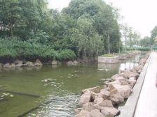 随时看!别墅视野!带地下产权车位带电梯!