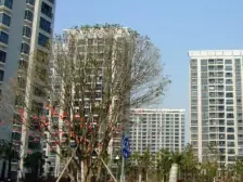 飞机户型大两房|房东置换别墅|接受砍价|18号线仅仅500米