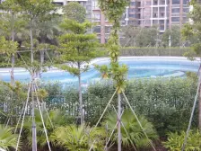 业主诚心出售,精装修四房,拎包入住