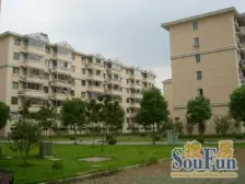 飞机大三房,采光充足,得房率高,楼下有产权储藏室