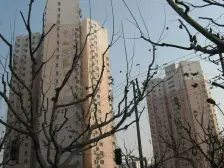 一梯两户,得房率高,少有的3房,采光好业主诚意出售