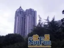 衡复旁景观大平层,南北通落地窗,税费各付带产权车位