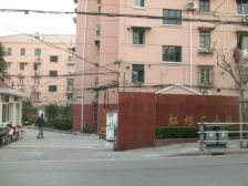 中环内,双南带院子,诚意出售,居住群众素质高