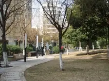 静安新城·九歌花园·115平3房2卫全明飞机户型 品牌精装