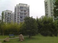 入住快采光好精装新上房源