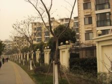 新上纯翠苑大复式园林式小区3个露台无违建的急售