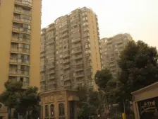 三林 · 金谊河畔 · 王炸复试 冬赏雪 夏赏花 心情倍儿佳