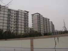 三林·中房樱桃苑·2室·1厅