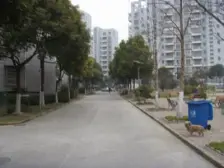 浦发绿城永泰路2080弄 3室2厅 南 北