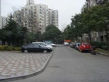 棕榈苑2室2厅南