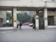 棕榈苑 2室2厅 南