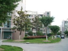富隆苑3室2厅南北