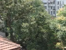 华山路南北两房 全明户型 边套 精装修 满五年