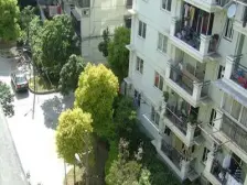 城建小区 1室1厅 东 南