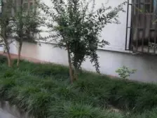 南北通透,主卧朝南,小区中心位置,闹中取静