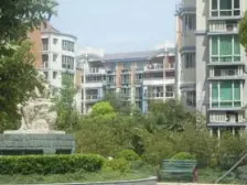 7&20号线 低总价 双南全明户型一梯两户随时可看房急售