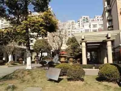 实景图