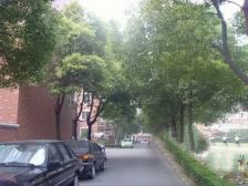 交通便利,户型正气,采光好,装修好!