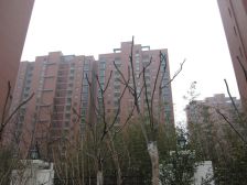 位置好,景观房,南北通大两房,精装修,保养不错