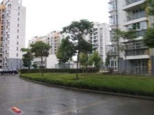 全明两房,户型方正,南北通,有拓展空间