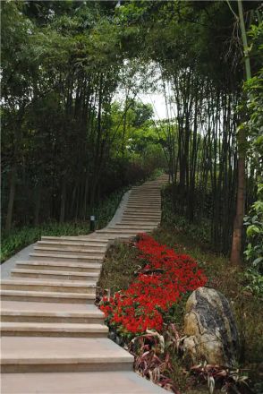 嘉州绿城西城首座实景图