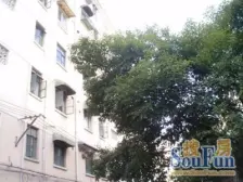 西藏北路·青云路605弄·1室·0厅