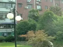 精装修 低楼层一门关全明 鲁迅公园边上 近地铁 龙之梦