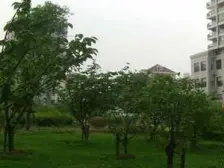 非底楼房,卫生间全明,主卧朝南,小区中心位置