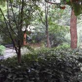 精装修 朝南带花园 小区出门是绿地